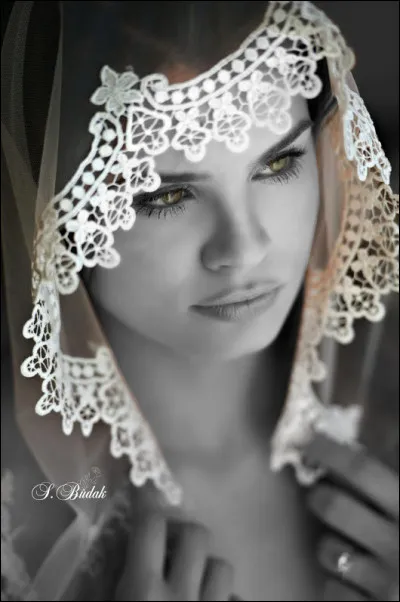 Qui rendit hommage à la belle ville égyptienne, dans sa chanson "Alexandrie, Alexandra" ?