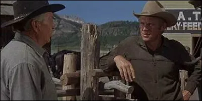 Steve McQueen veut se venger des assassins de ses parents mais il ne sait pas tirer et s'est fait voler son cheval. Pas facile, la mission mais il réussira quand même...
Henry Hathaway, 1966.
