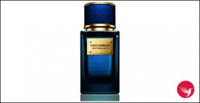 Comment se nomme ce parfum de Dolce & Gabbana ?