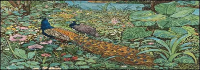 Dans les contes de la mythologie arabe, les animaux ont des comportements humains, mais les humains sont cruels et féroces bien plus que des... bêtes !
Par qui les paons, l'oie, le cheval et le chameau ont-ils été maltraités ?