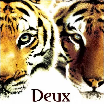 Qui entre dans la grotte des quarante voleurs mais oublie la formule magique pour en sortir ?