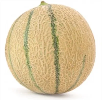 Comment dit-on "melon" en espagnol ?
