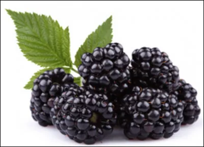 Comment dit-on "mûre" en espagnol ?