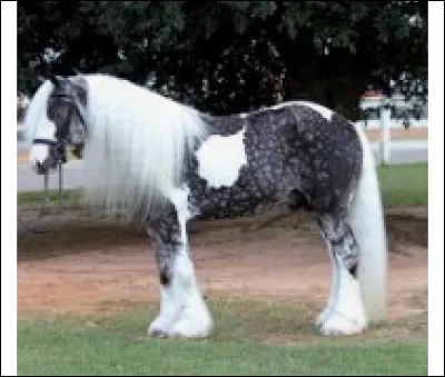 Quelle est cette robe ?