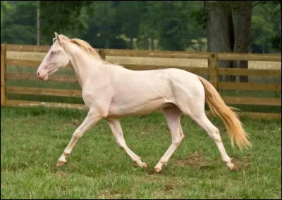 Quelle est cette robe ?