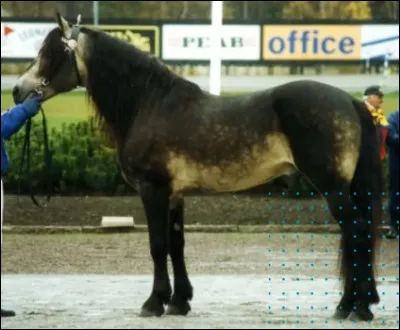 Quelle est cette robe ?