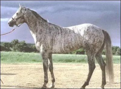 Quelle est cette robe ?