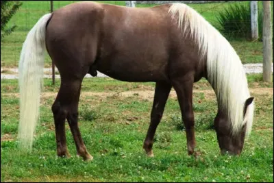 Quelle est cette robe ?