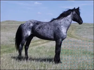 Quelle est cette robe ?