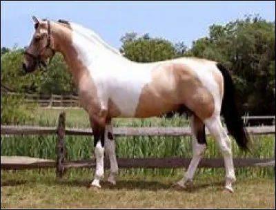 Quelle est cette robe ?