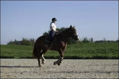 De quel côté doit-on monter à cheval ?