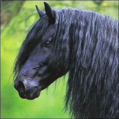 Celle-la est ma préférée et j'ai son nom au bout de la langue. Tu pourrais me le dire ?