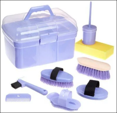 Passons à autre chose. Connais-tu bien les chevaux ?
Quelle est la première brosse à utiliser ?