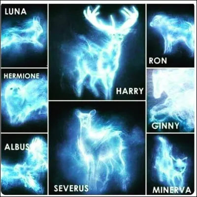 Quel est son patronus ?