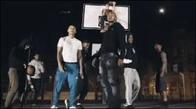 Quel groupe compte, entre autres, Ashe 22, Bu$hi ou Gouap en son sein ?