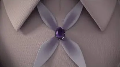 Quel est ce Miraculous ?