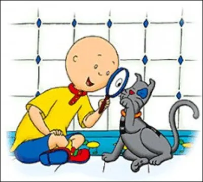 Quel est ce dessin anim&eacute; ?