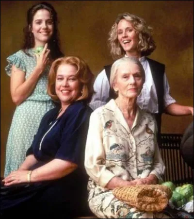 Quel film américain, sorti en 1992, relate l'histoire d'amitié de deux femmes : Idgie, forte tête, véritable garçon manqué, et Ruth, douce et remarquable cuisinière qui décident d'ouvrir un restaurant ?