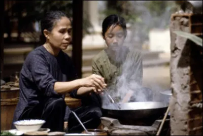 Quel film franco-vietnamien réalisé par Tran Anh Hung, sorti en 1993, relate l'histoire d' une jeune domestique devenue un membre important de la famille ruinée qui l'a embauchée dans le Saïgon des années 1950 ?