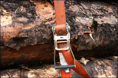 Où habitent les Hannetons ?