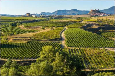 Quel est le nom de l'activité agricole consistant à cultiver une certaine variété de vigne produisant un fruit pour la consommation humaine ?