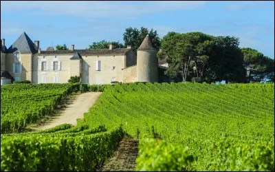 Dans quelle région parle-t-on plus particulièrement de ''château'' pour identifier une exploitation viticole ?