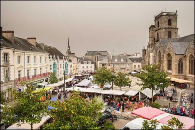 Ville de 9 000 habitants du département du Morbihan, située au coeur de la Bretagne, à proximité de la forêt de Brocéliande :