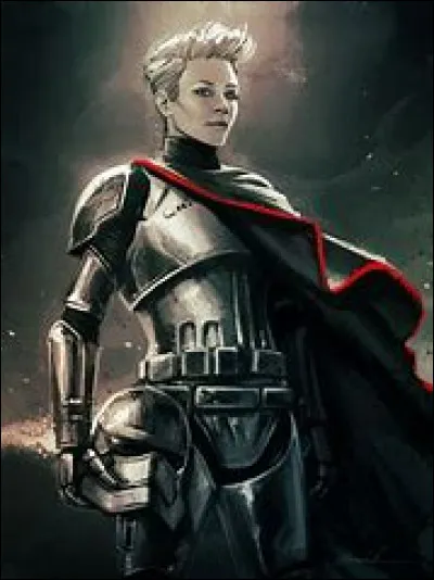 Il n'attend pas ta r&eacute;ponse et part &agrave; la recherche de sa s�ur.Tu tournes en rond et attends son retour depuis 5 heures quand Phasma arrive, elle a bien grandi et elle est capitaine des Stormtrooper, elle t'affronte...