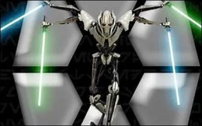 C'est alors que Palpatine te voit et dispara&icirc;t en te d&eacute;crivant comme son pire ennemi et Qymaen Jai Sheelal r&eacute;appara&icirc;t sous le nom de G&eacute;n&eacute;ral Grievous, puis Yaddle entre dans la salle et te dit de rentrer chez toi, tu n'est plus un Jedi. Quelle est ta r&eacute;action ?