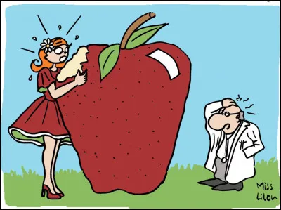 Quel est le bon dicton ?