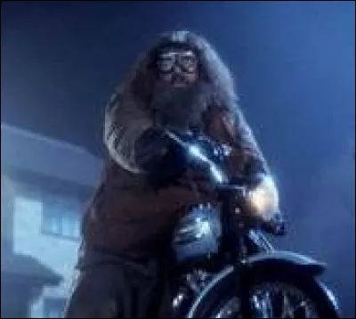 Comment est-il arrivé chez ces abominables moldus de Dursley ?