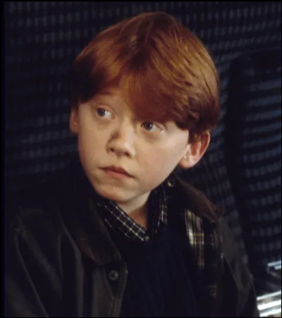 Qui est Ronald Weasley ?