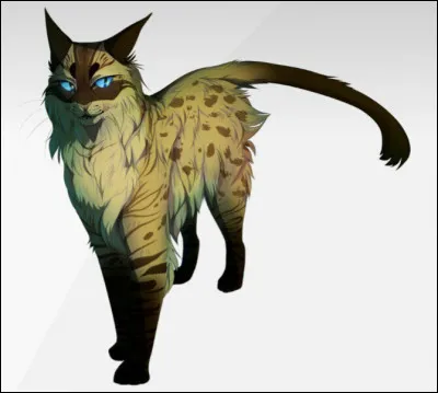 Par quoi définirais-tu ton caractère ?