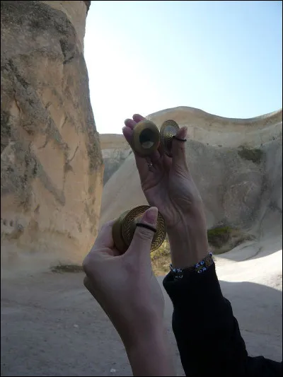 Sur l'image, c'est une paire de sagattes.