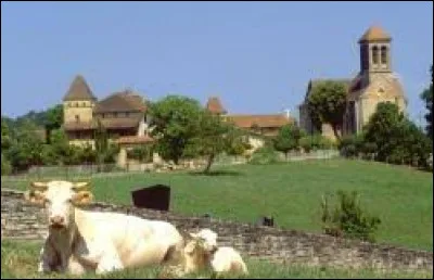 Voici une vue de Saint-Jean-Mirabel et de son &eacute;glise Saint-Jean-Baptiste. Autre village occitan, dans l'ex r&eacute;gion Midi-Pyr&eacute;n&eacute;es, il se situe dans le d&eacute;partement ...