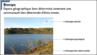 Où préférerais-tu vivre si tu étais un animal ?