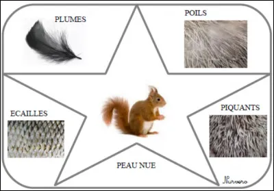 Que préférerais-tu avoir ?