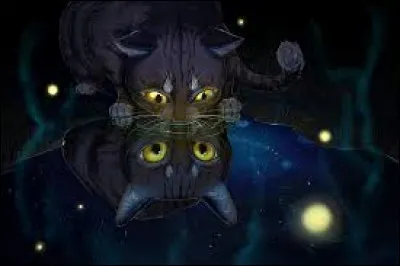 Quel guérisseur ou quelle guérisseuse préfères-tu (cycle 1) ?