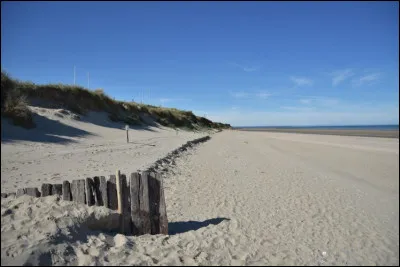 Ay - Qu'est-ce qui ne peut pas être désigné par "Ay" ?