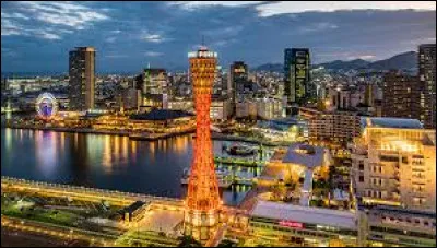 Où aurons-nous la chance de visiter Kobé ?