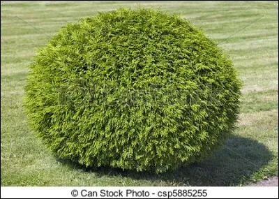 Quel Brawler a un gadget qui lui permet de manger un buisson et de récupérer 3000 d'H.P. ?