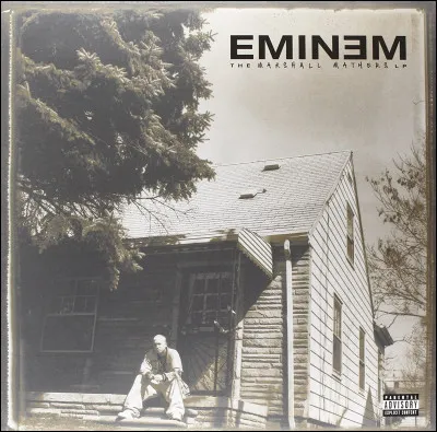 "I got the soul of every rapper in me
Love Me or Hate Me
My mom's got rapped by the industry and made me".
Quel rappeur absolument dégoûtant écrit ses rimes, présentes sur l'un des morceaux de l'album "Marshall Mathers LP" ?