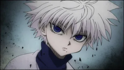 C'est le meilleur ami de Gon, quel est son prénom ?