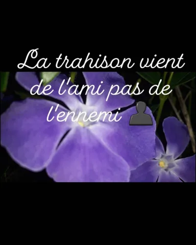 Combien as-tu d'ennemis(es) ?