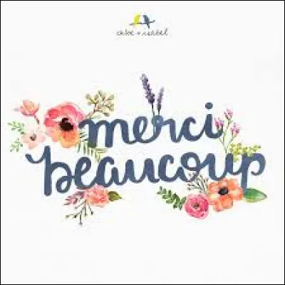 Comment dit-on "merci beaucoup" ?