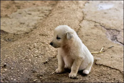 A quel endroit voudrais-tu être ?