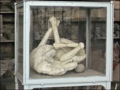 Quel est le nom latin qui désigne la salle à manger chez les Romains ?