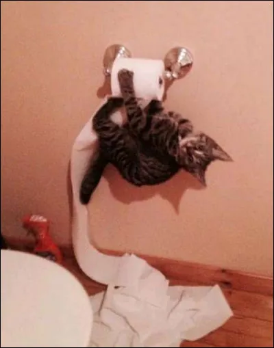 À qui Éléonore dit-elle de se mêler de ses affaires ?