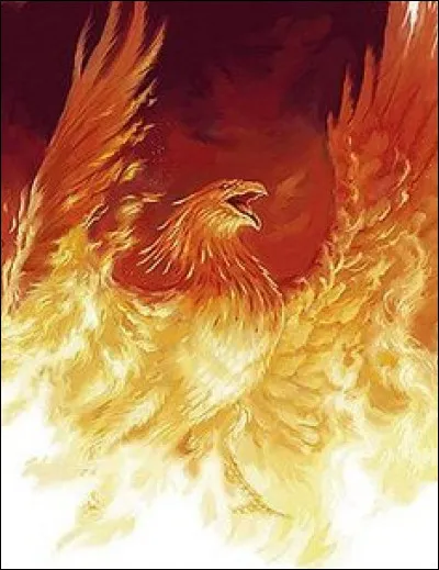 Les phénix y sont...