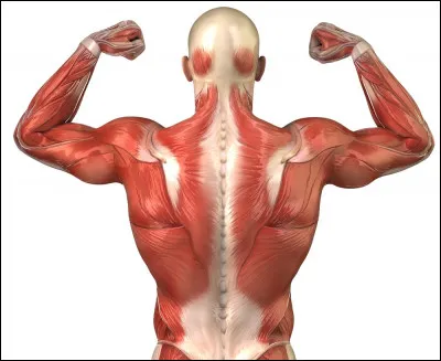 Sur une échelle de 1 à 10 en terme de force, où es-tu ?